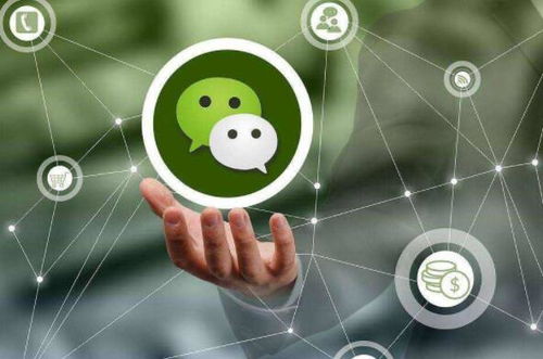 郑州小程序开发的优势与价值